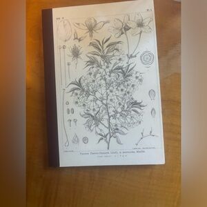 Hobonichi Techo Hobonichi Graph Notebook (A5)